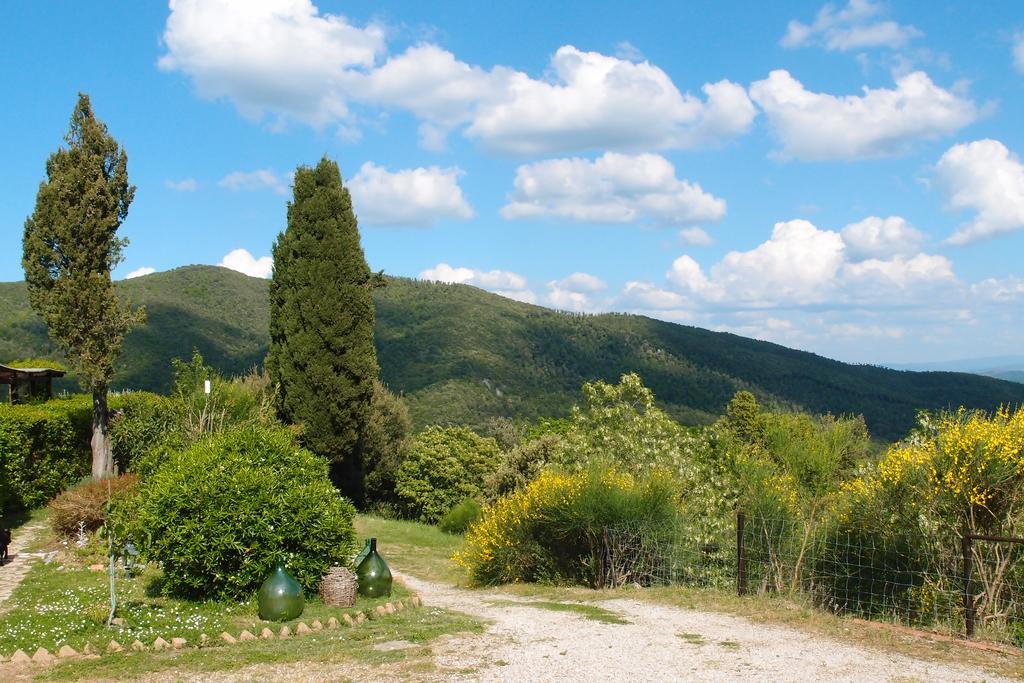 Casale Pundarika Guest House Riparbella Exterior photo